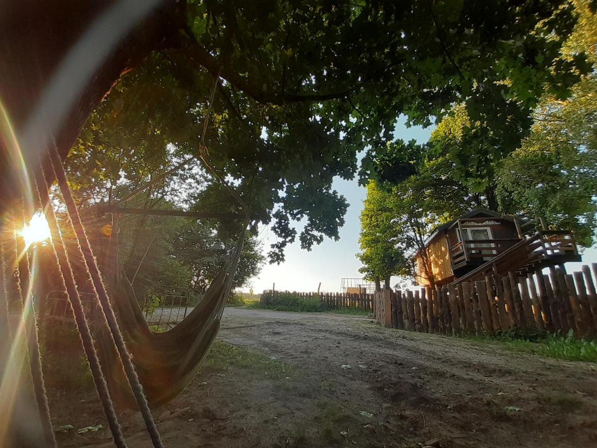 Podlasie Domek Na Drzewach Trzescianka Exterior foto